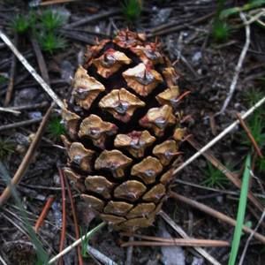 Meet your Posher, Mary ann